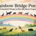 Rainbow Bridge Poem: A Heartfelt Tribute to Pets We Never Forget