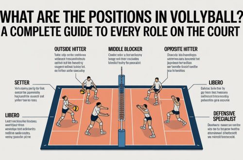 What Are the Positions in Volleyball? A Complete Guide to Every Role on the Court